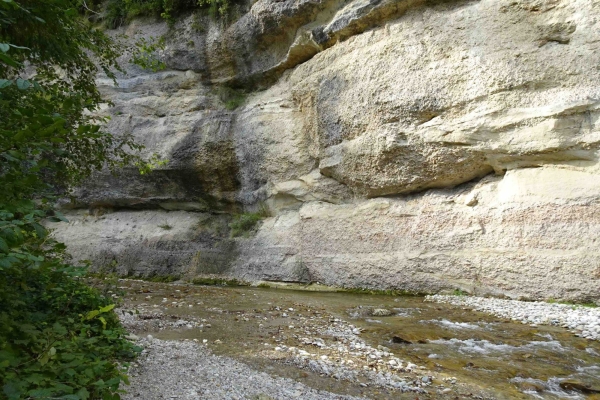 Steinreich aus der Fontanne