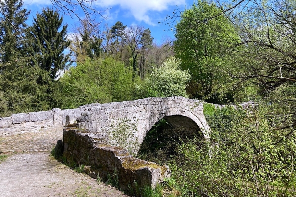 59. Le long de la Glâne