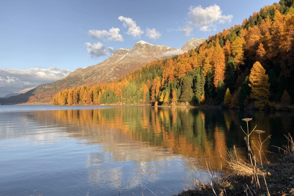 Randonnée près de lacs et mélèzes lumineux