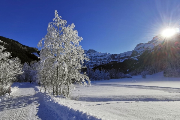 Ohne Steigung zu den Simmenfällen