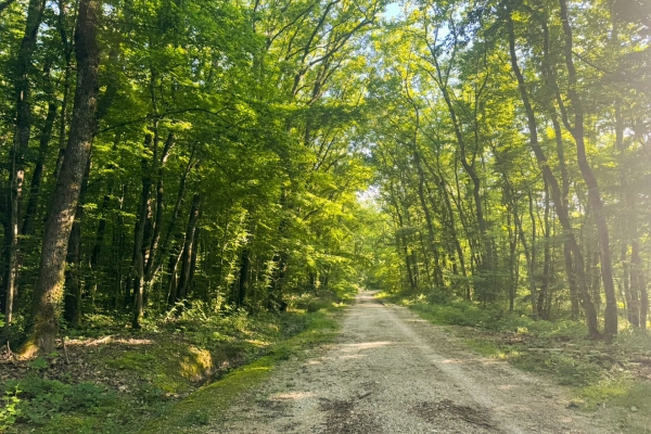 Una tranquilla passeggiata tra natura e città