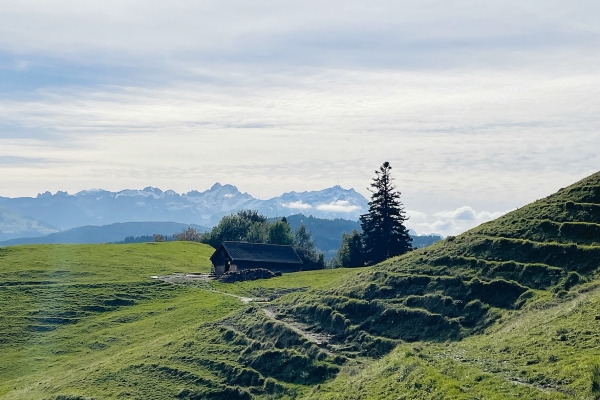 Schlusswanderung zu unseren Kollektivmitgliedern