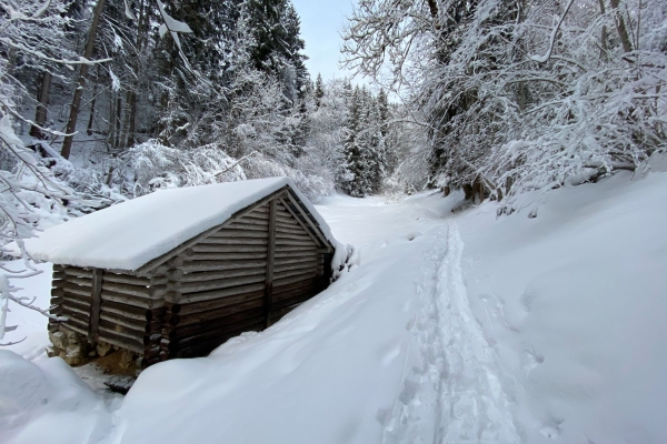 Winterwanderung vom Brünig zum Hasliberg