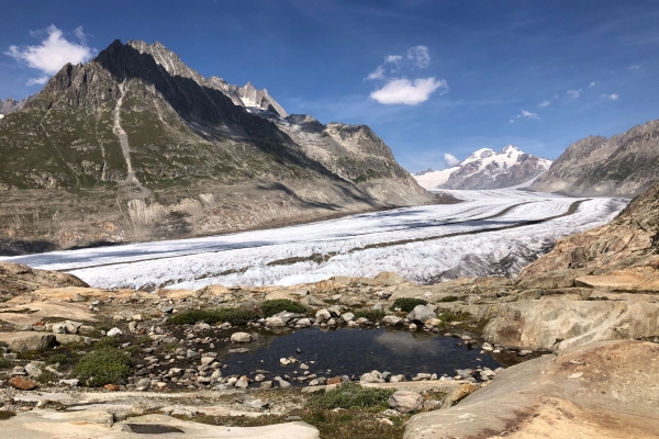 R44: Bettmerhorn - Märjelaseen - Fiescheralp