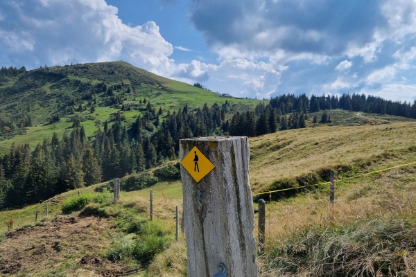 Auf dem Gratweg am Käsenberg