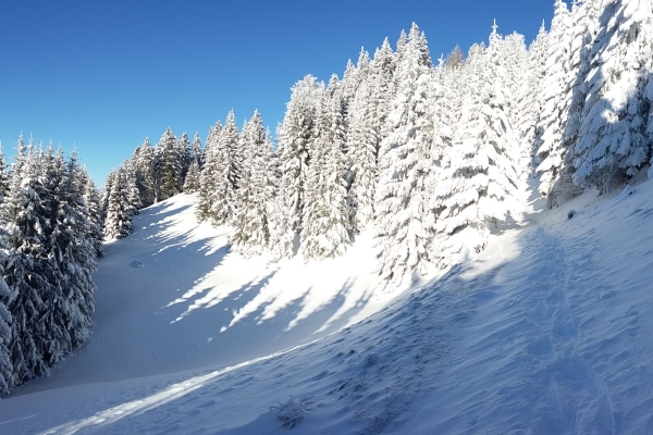 Mit Spass und Sicherheit ins Schneeschuh-Abenteuer