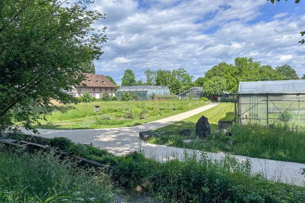 Frühlingspfad am St. Alban-Teich in voller Blüte