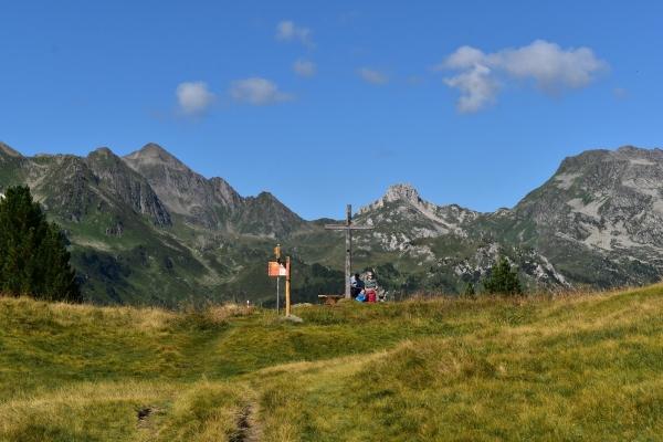 Alpeggi in fiore e torbiere alte sul Lucomagno