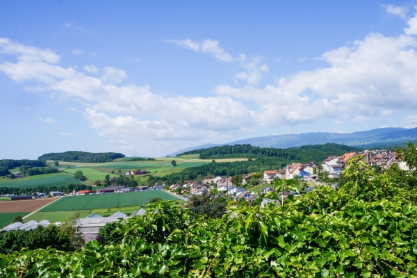 Idyllische Wildnis und Steinbruch bei La Sarraz