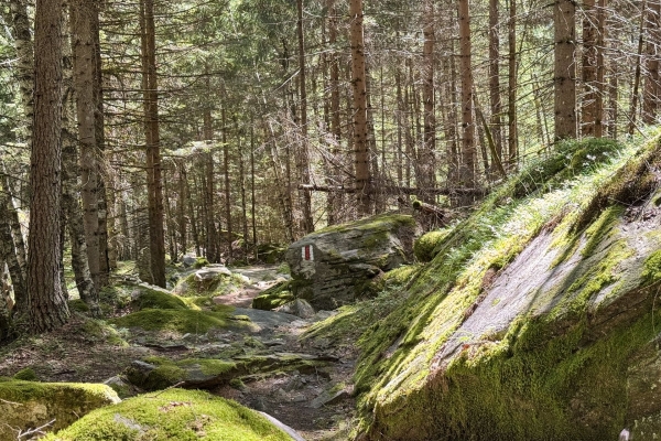 Alla scoperta della romantica valle di Campo