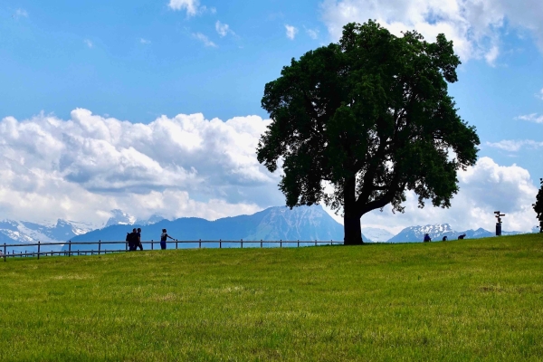 Unterwegs mit der Kraftortforscherin hoch über Luzern