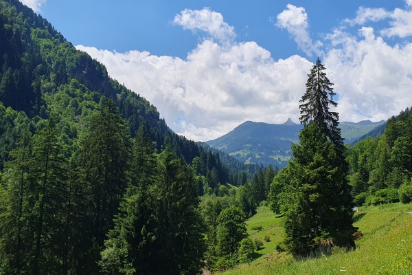 Durchs Verrucanogestein im Schilstal