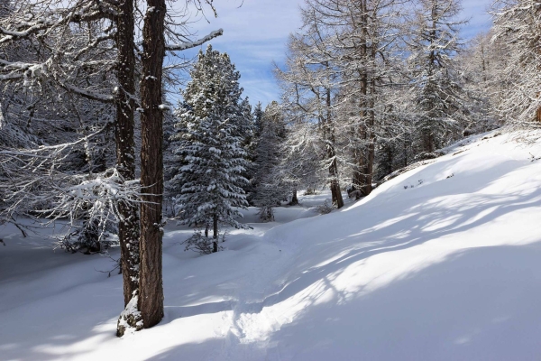 R07: Zeneggen - Moosalp - Bürchen