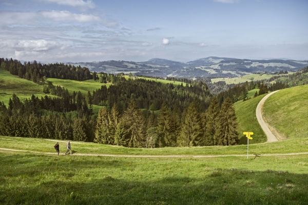 SWW_Spring_5171223