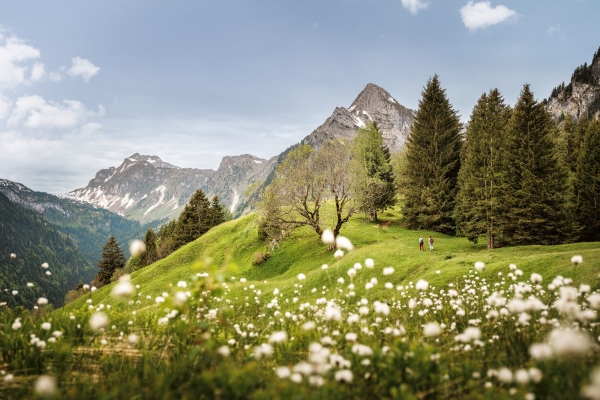 SWW_Spring_2024_1127