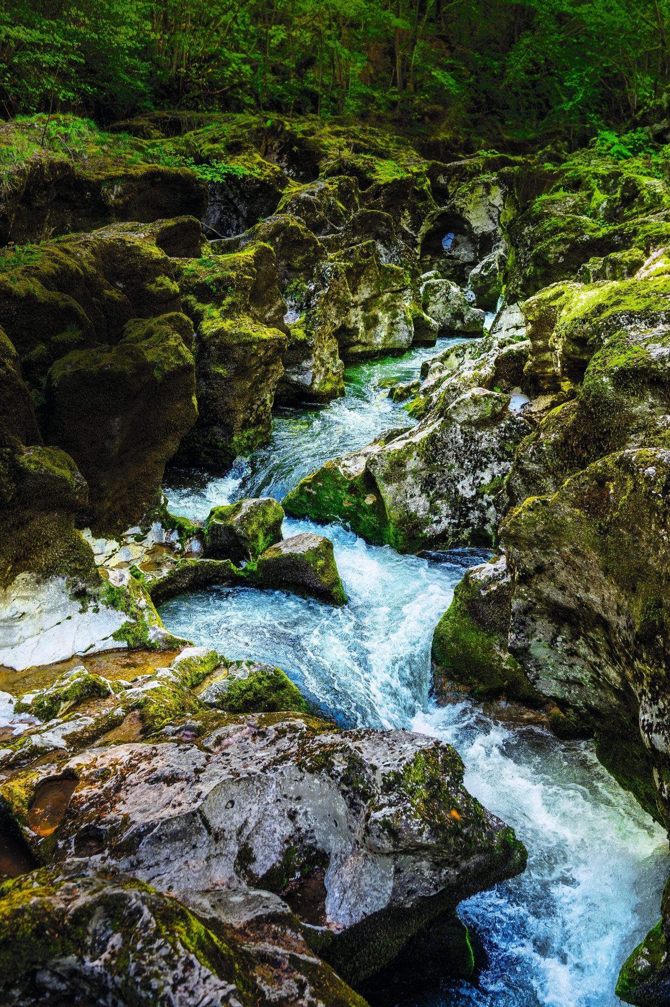 Schluchten-Orbe-6201