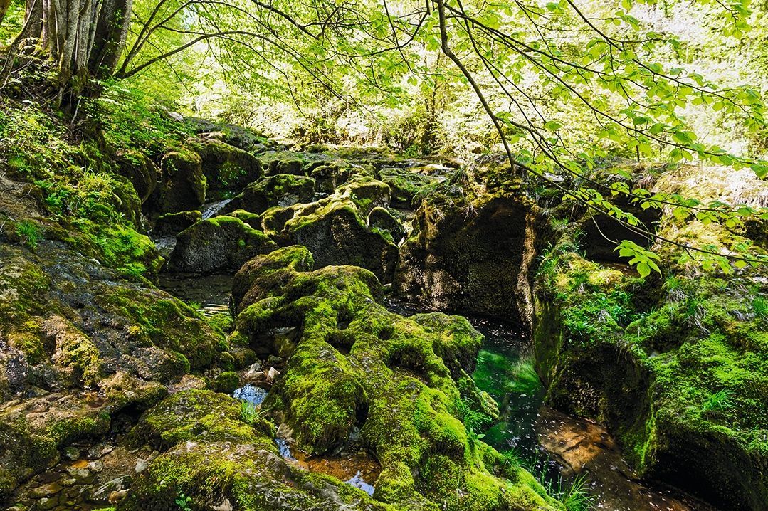 Schluchten-Orbe-6231