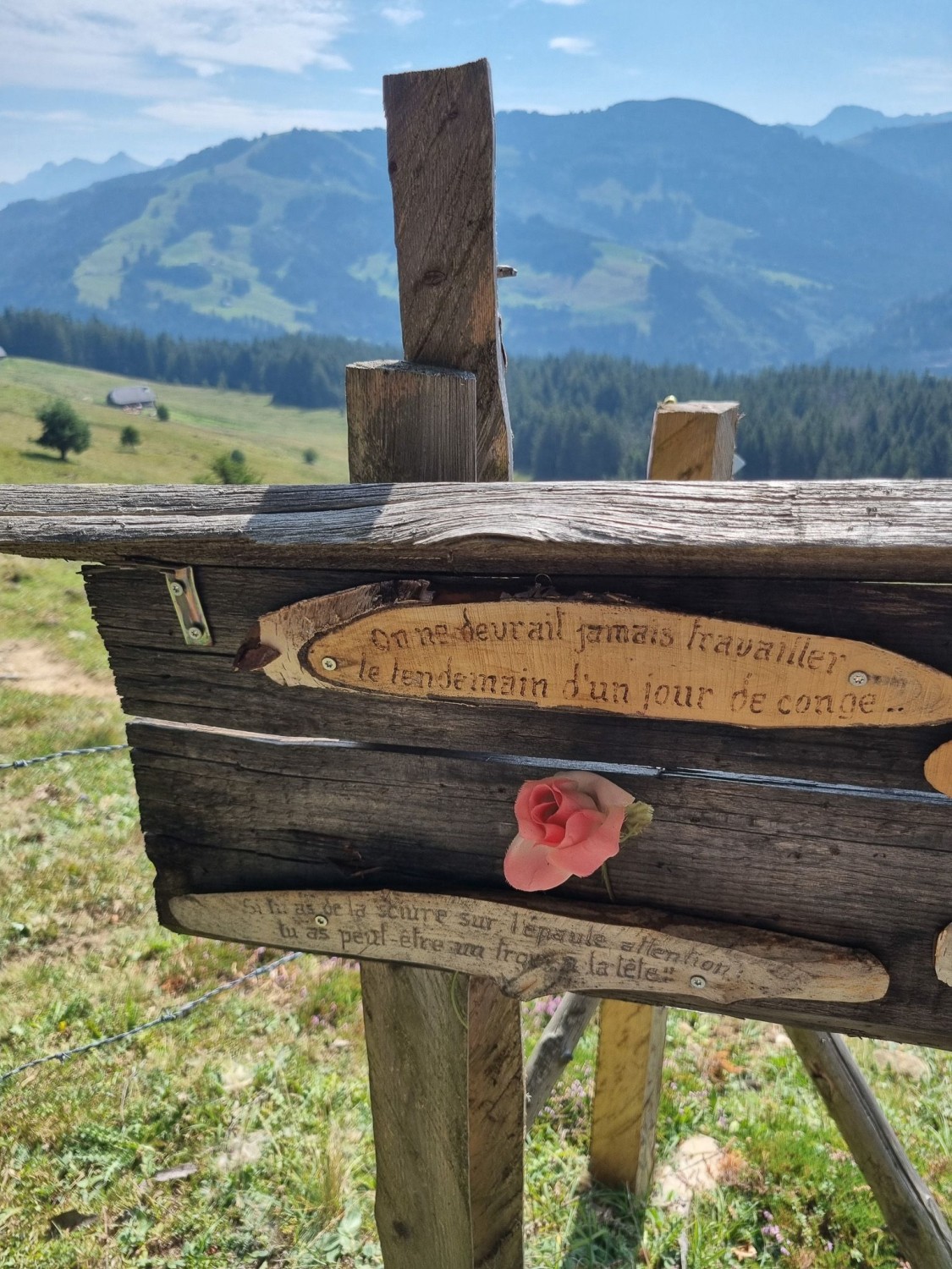 Panneau plein de sagesse au Muschenegg, avec possibilités de s’asseoir
