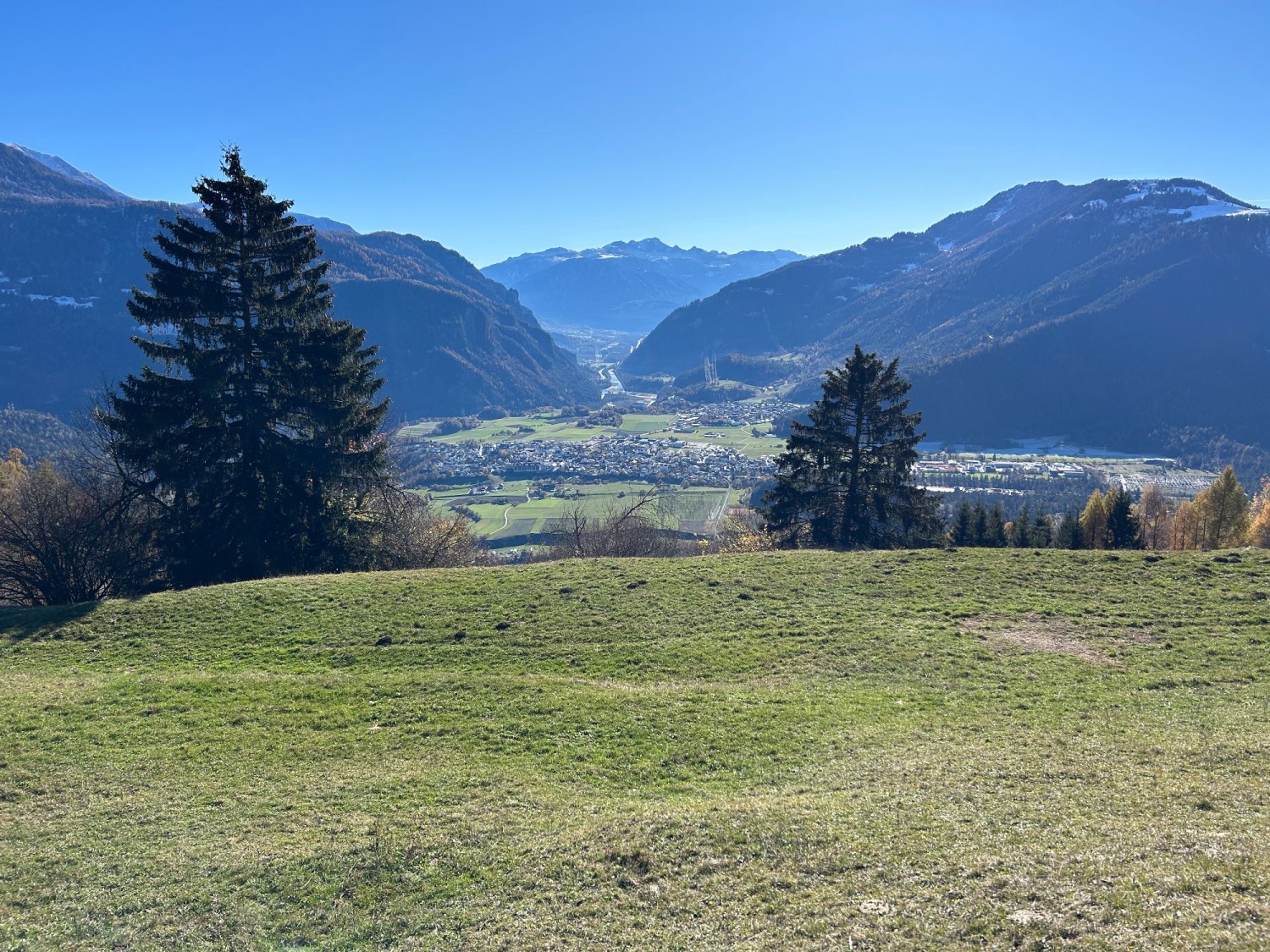 @Werner Forrer