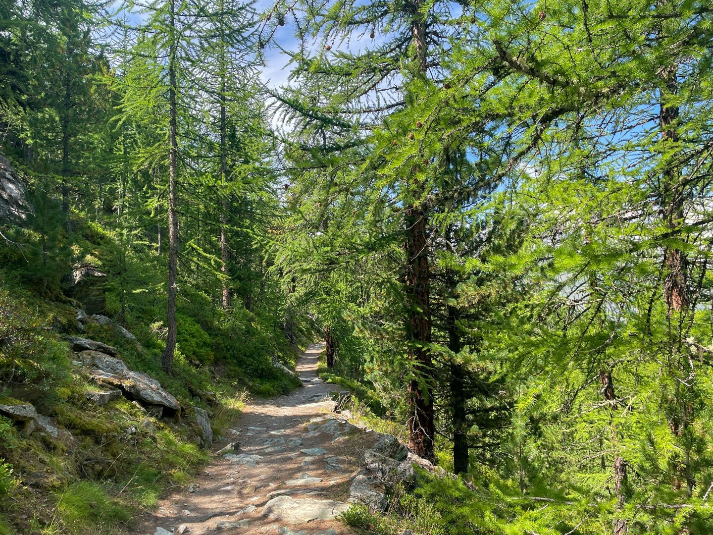 Le chemin bien aménagé jusqu’à Riffelalp est un plaisir.