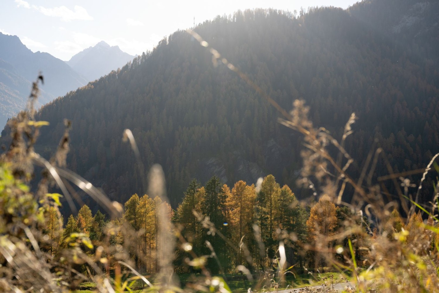 La Basse-Engadine illuminée par un rayon de soleil matinal