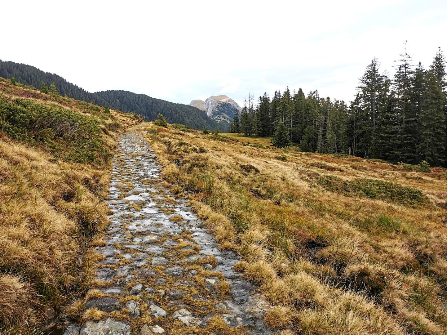 Der Alpweg am Fuss der Pilatuskette wurde im Zweiten Weltkrieg von polnischen Internierten gebaut.