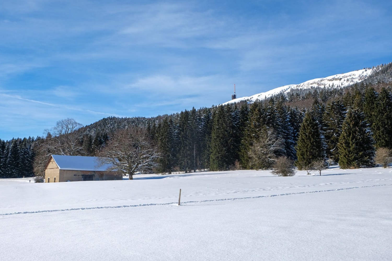 Le sommet du Chasseral n’est pas très éloigné.