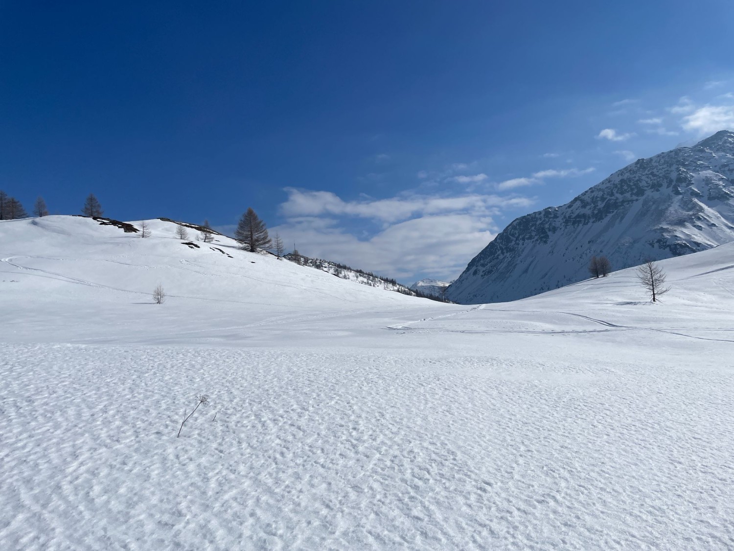 De la neige soufflée par le vent