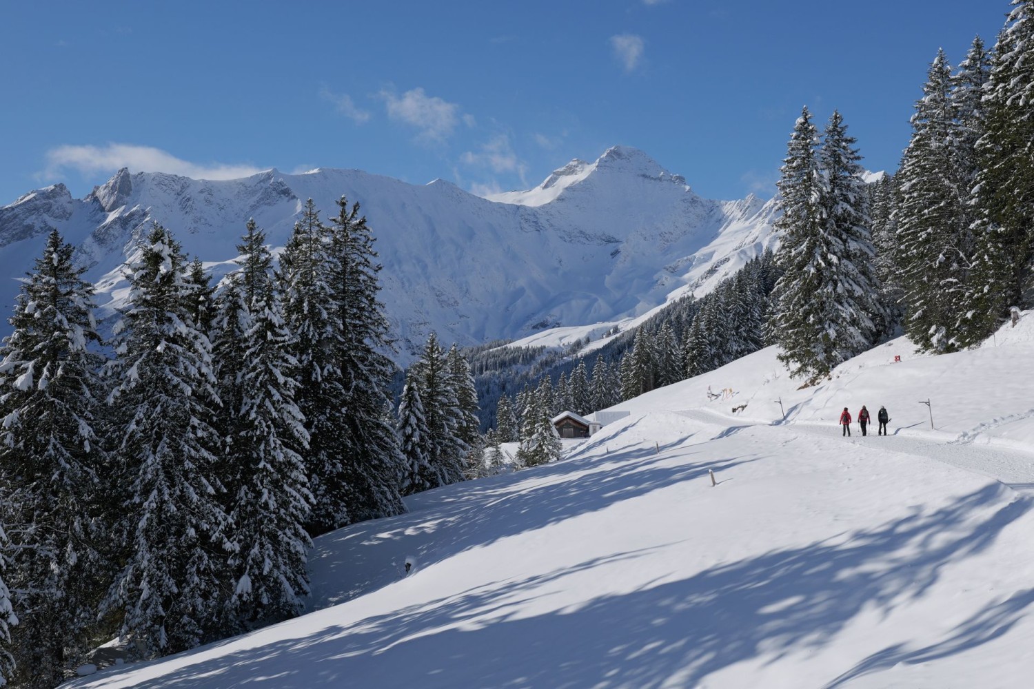 Le début de la randonnée, avec le Hausstock au second plan