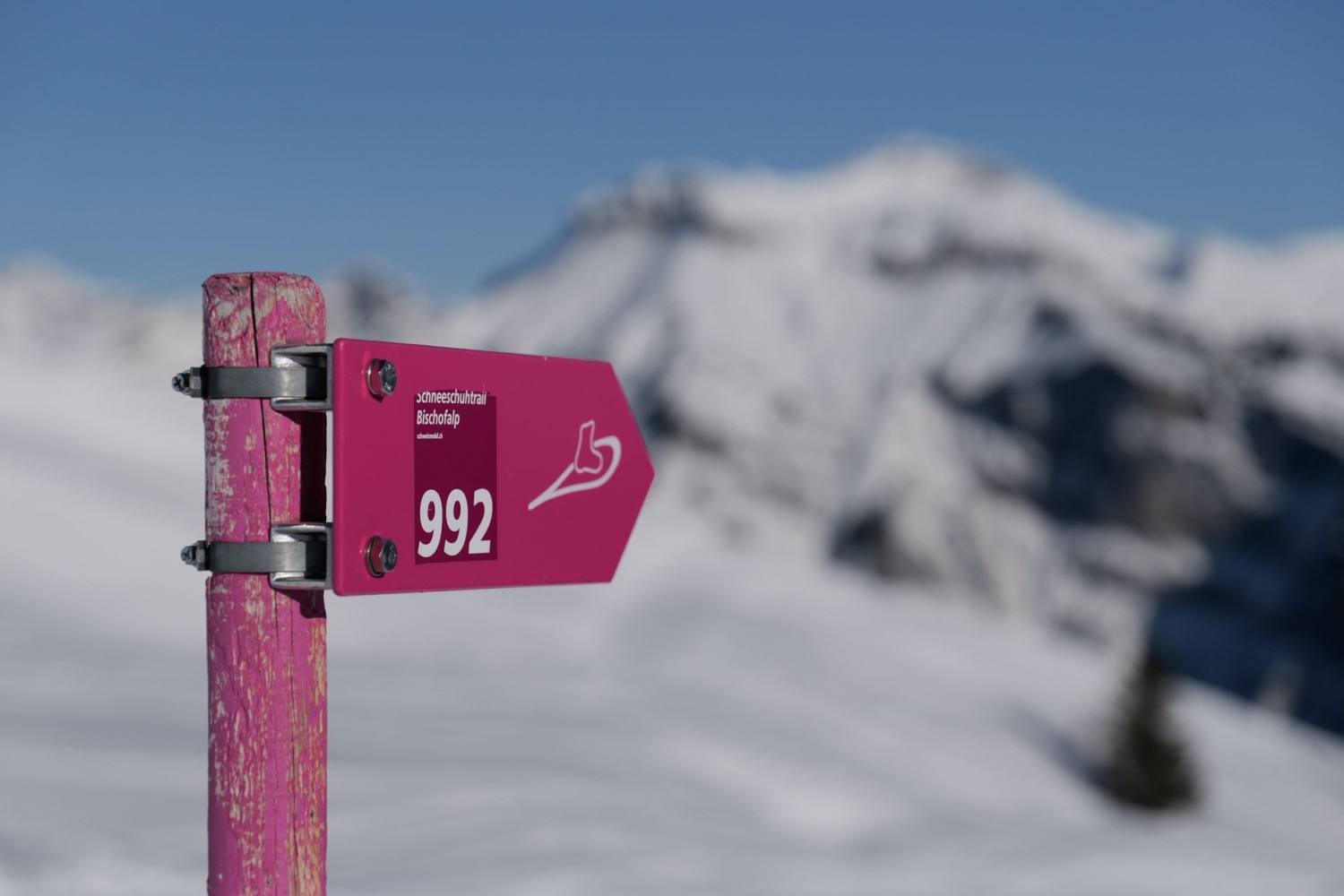 Indicateur au Matthüttli, le point culminant du parcours