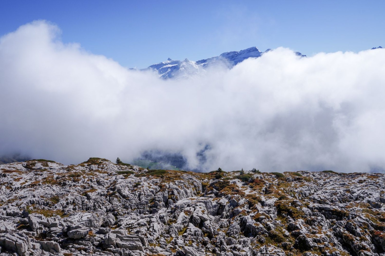 Terrain escarpé, vue douce sur la Pointe d’Aveneyre et les sommets voisins