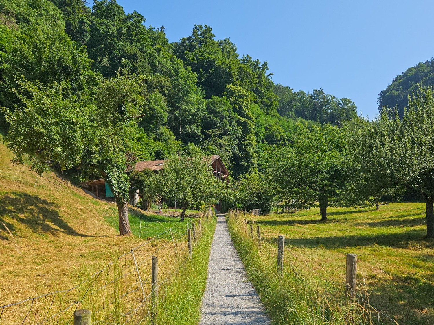Costeggiando dei prati si giunge all’ingresso della gola.