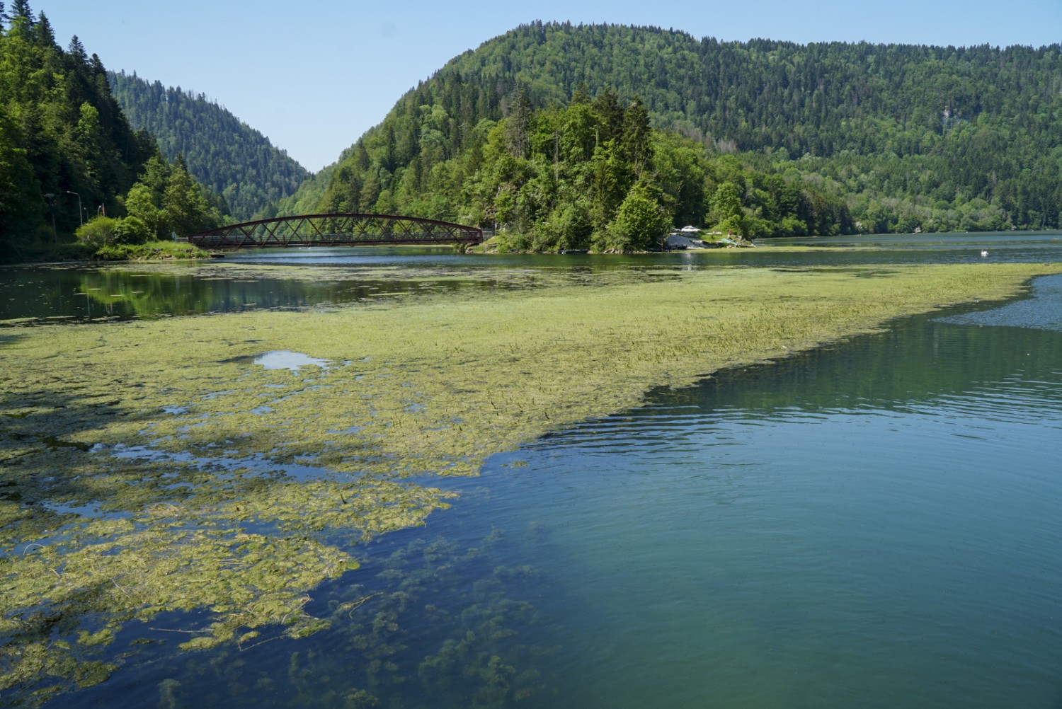 Der Biaufond-Stausee gehört zum Naturschutzgebiet «Parc du Doubs». Bild: Mia Hofmann
