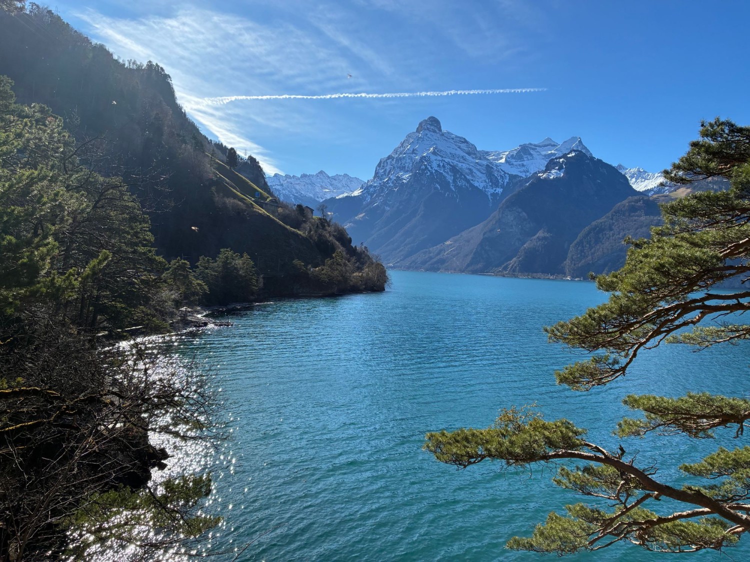 Diese Wanderung auf dem Weg der Schweiz von Sisikon nach Flüelen verbindet Naturerlebnis mit aktivem Engagement gegen Littering und für den Schutz unserer Landschaft.