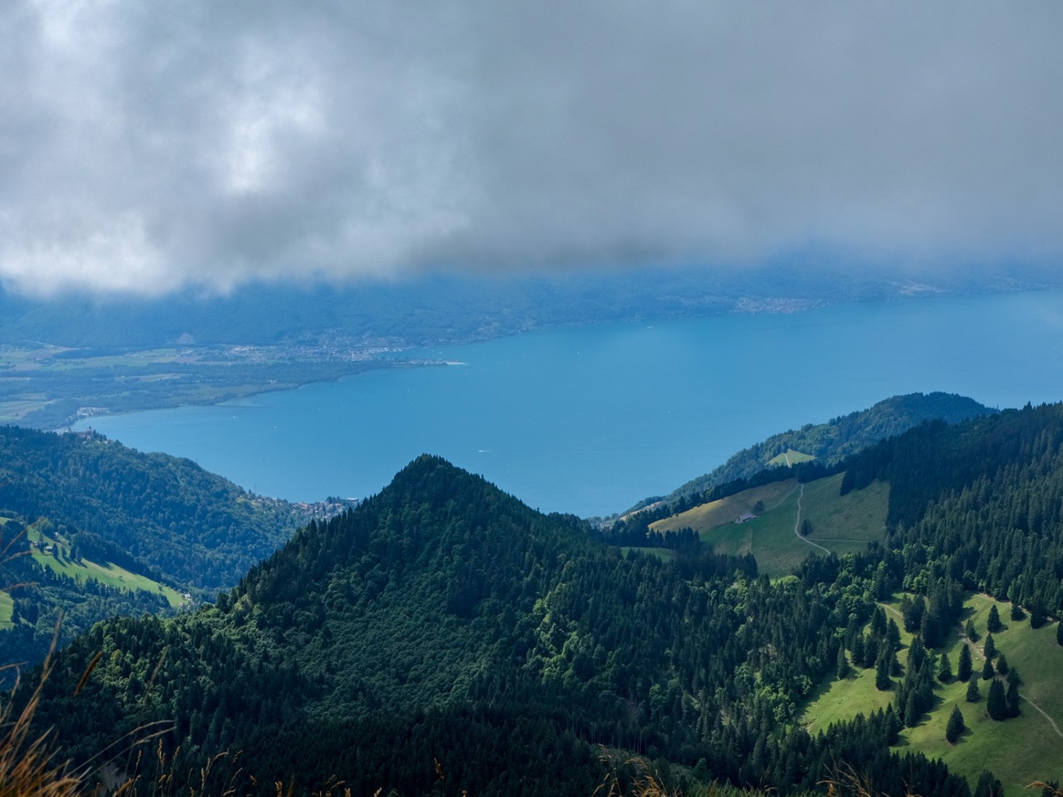 Auf dem Pässlein angekommen, bietet sich ein ganz anderer Blick: der Genfersee.  Bild: Elsbeth Flüeler
