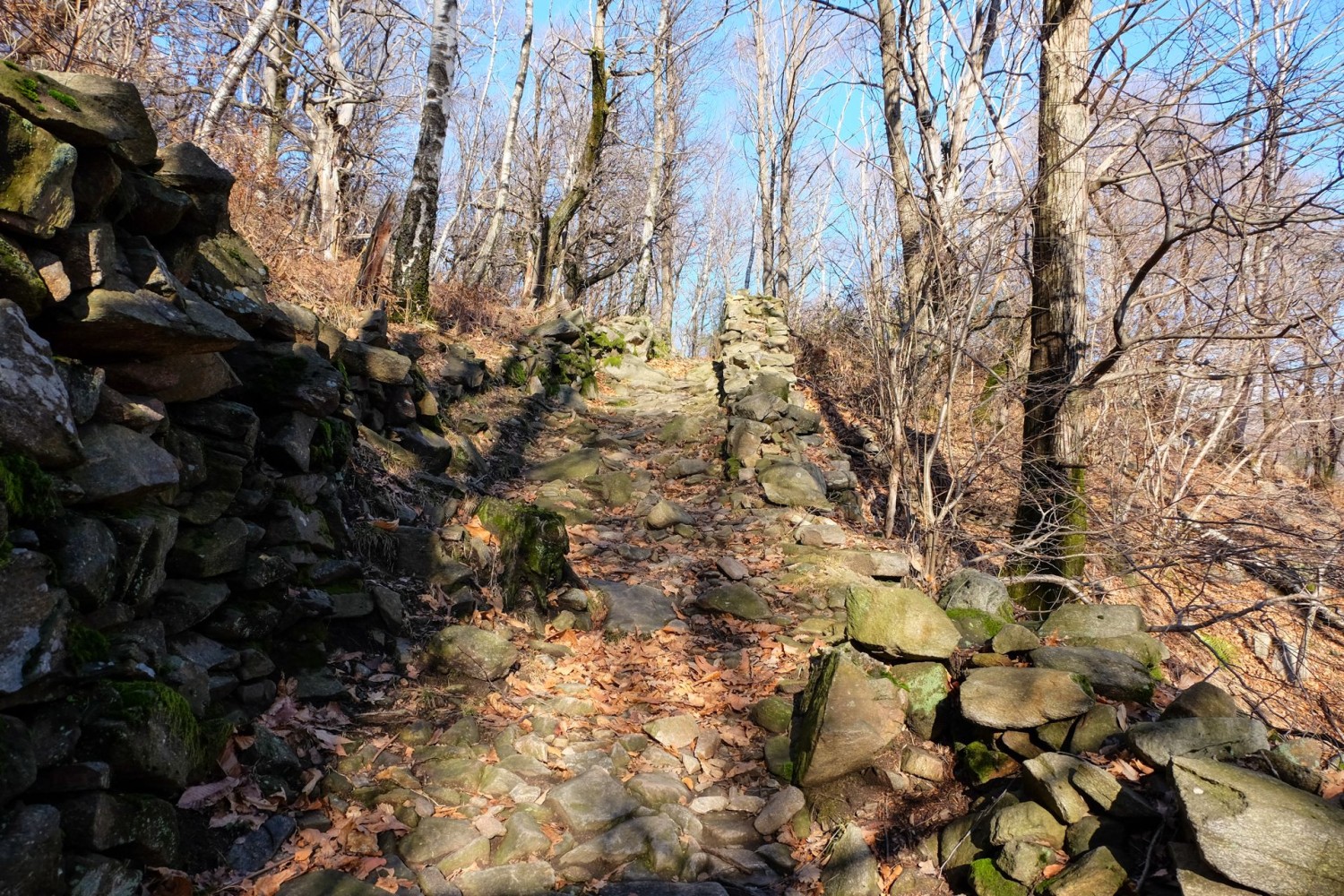 La mulattiera, ou sentier muletier, quitte le hameau de Soresina en direction du Monte Ceneri.