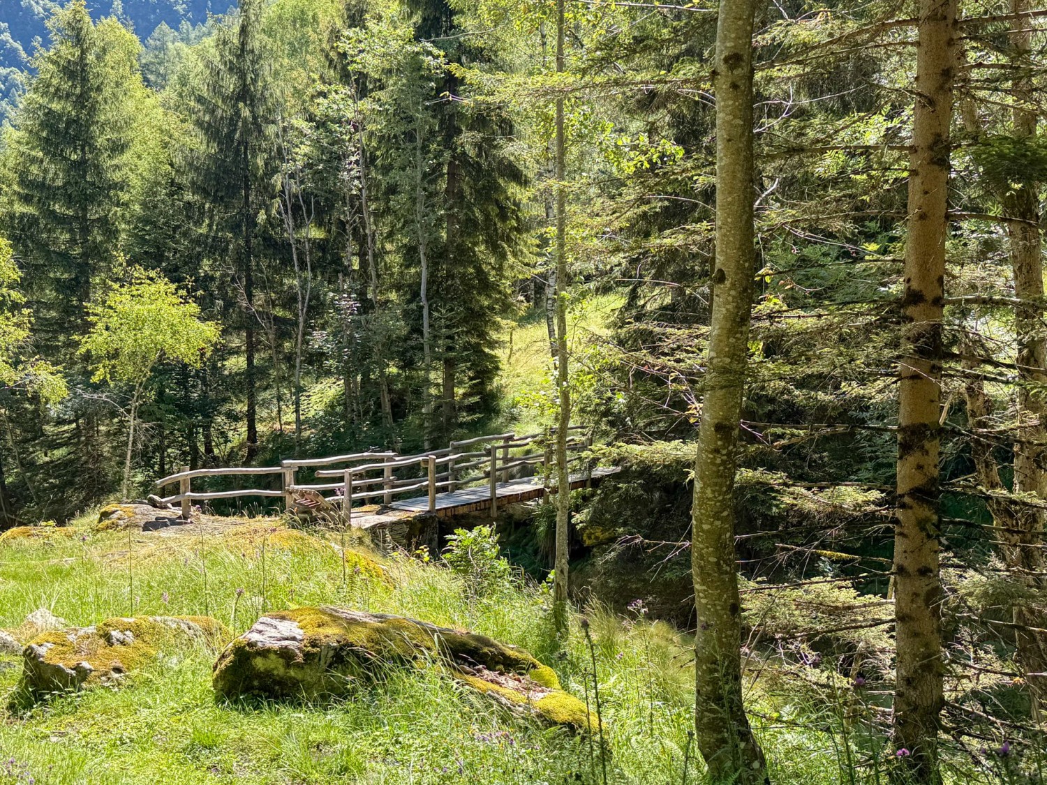 Ponte in legno soprastante il piccolo torrente di montagna Ri d’Arnau.