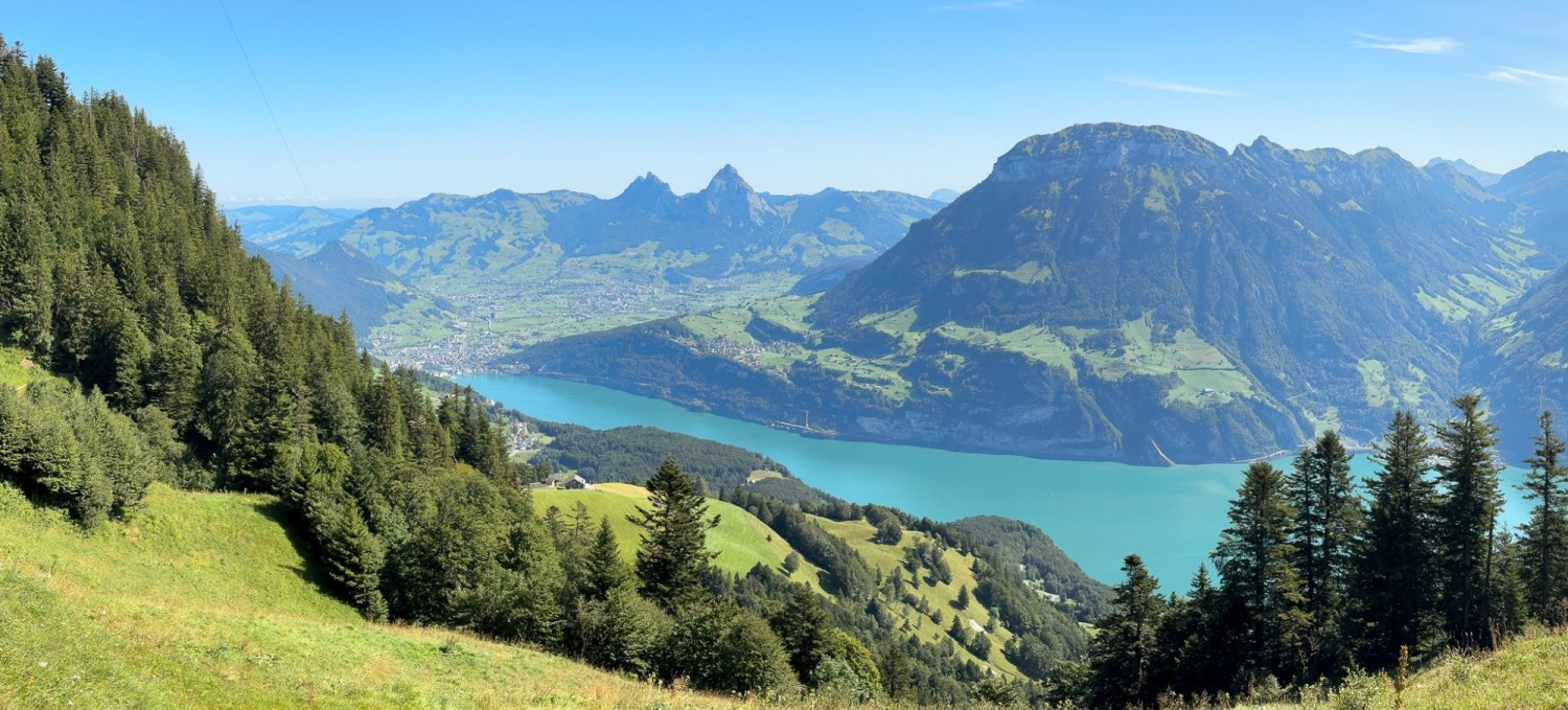 Au-dessus du pâturage, avec vue sur les Mythen, le lac d’Uri et le Fronalpstock