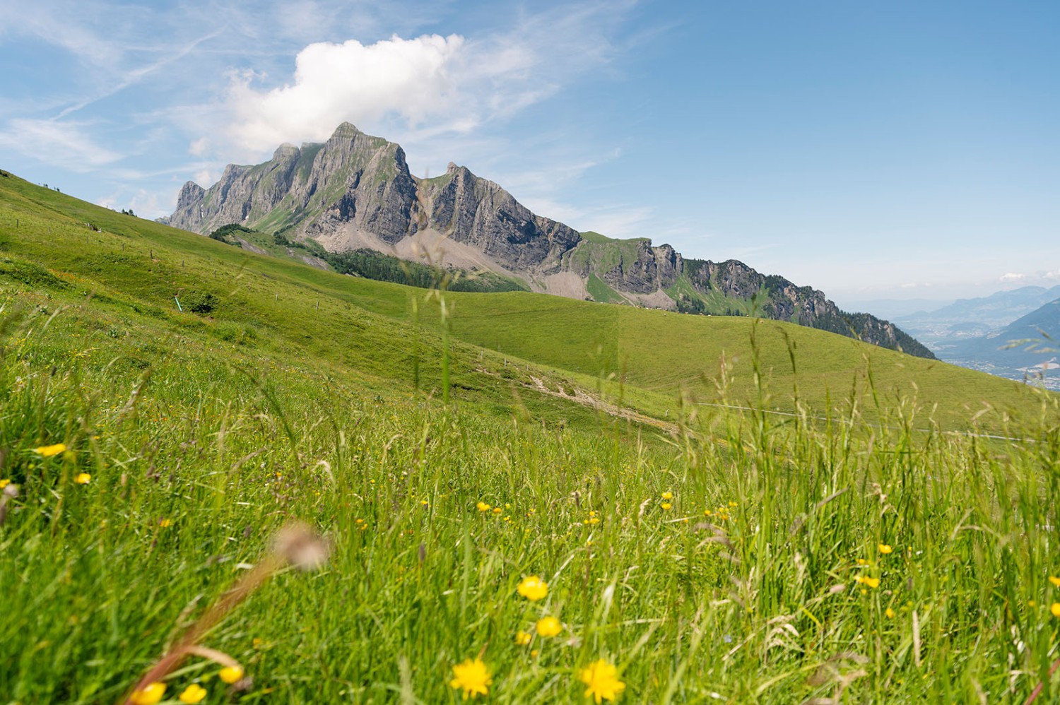 Vue sur la Gauschla depuis les Rieterhütten. Photo: Raja Läubli