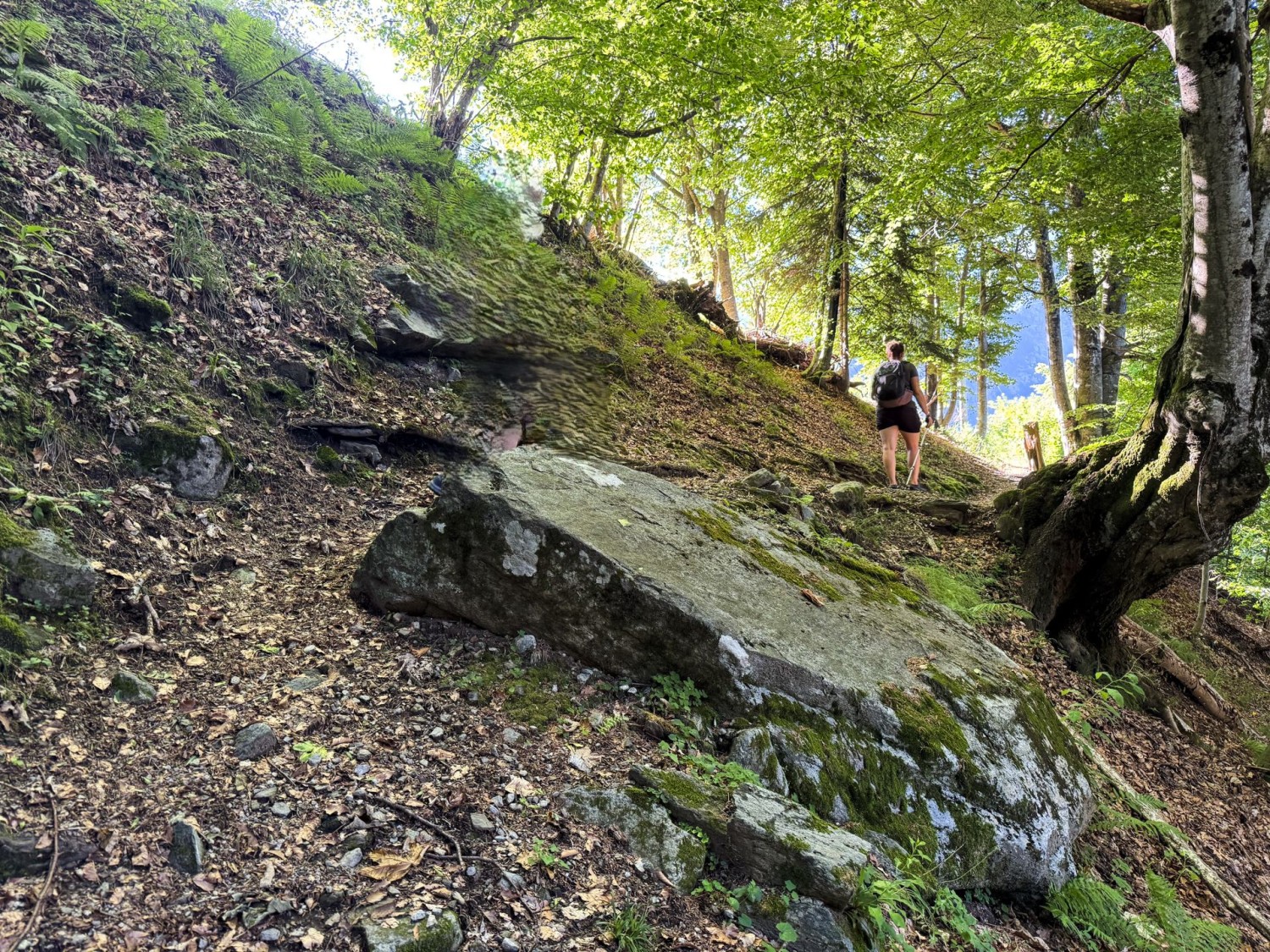 Si sale lungo sentieri naturalistici.