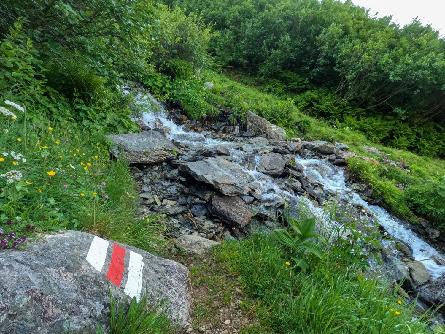 Traversée d’un ruisseau de montagne pendant la montée au Wannisbortsee