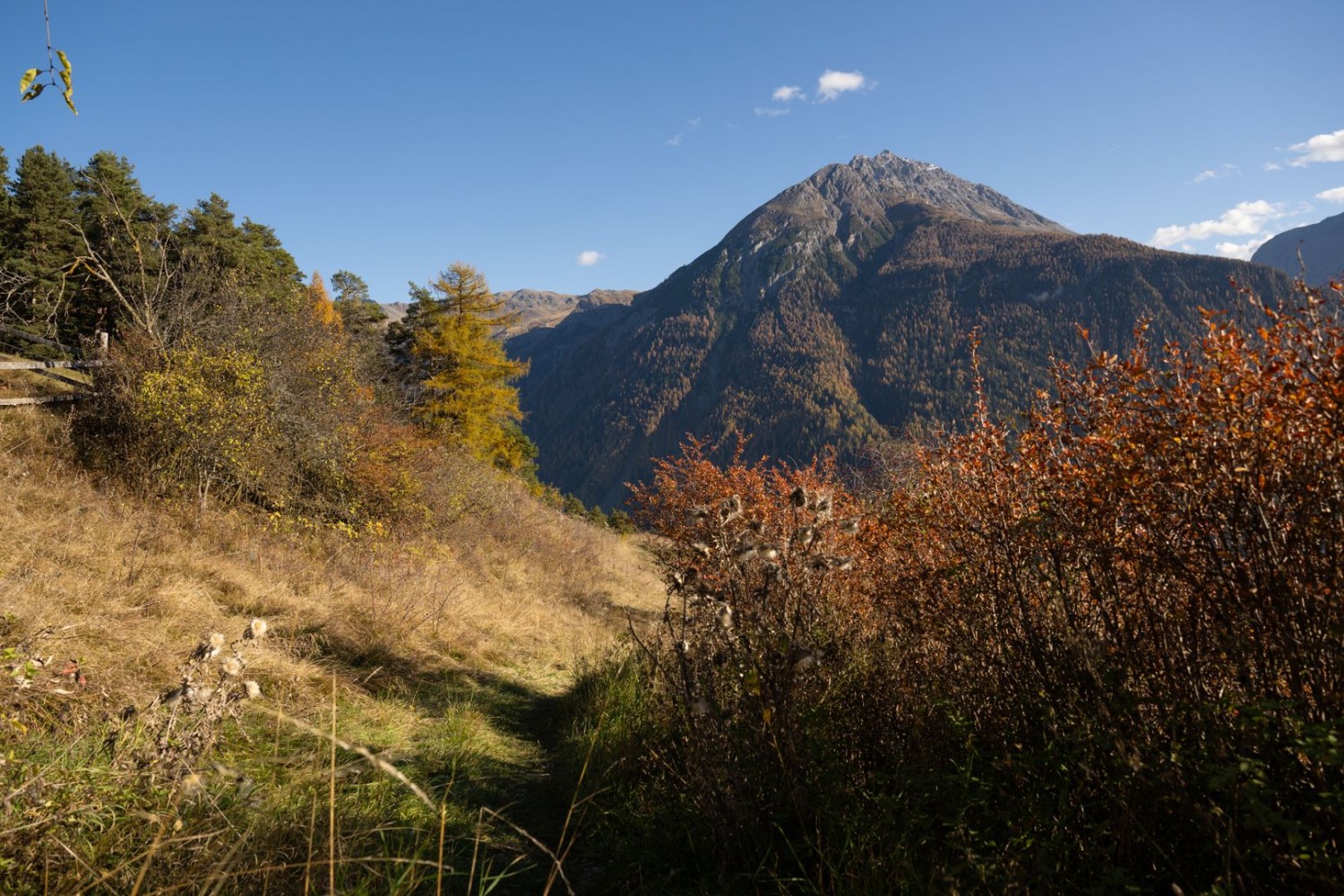 En automne, la Basse-Engadine revêt ses plus beaux atours orange.
