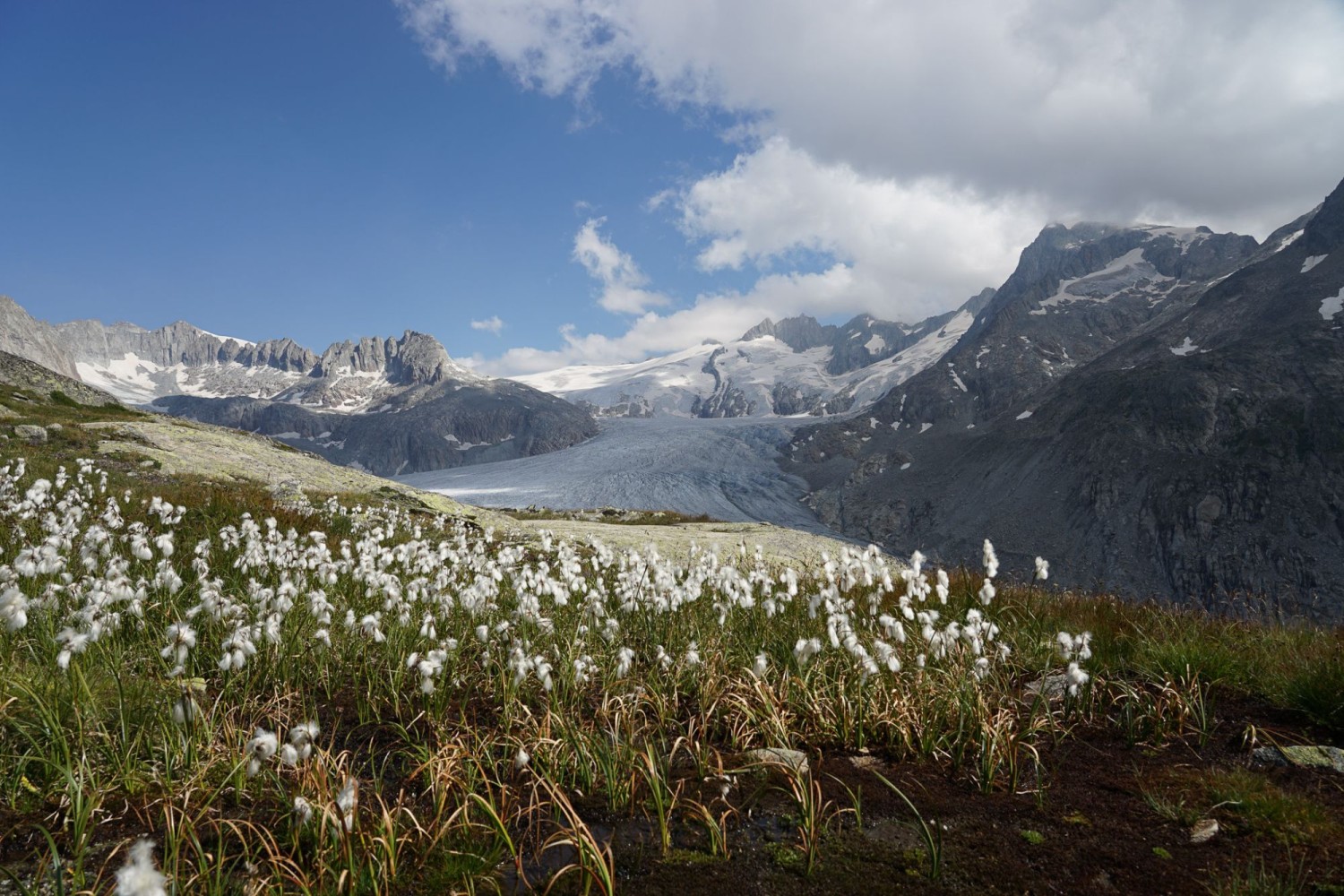 Vue sur le glacier du Rhône depuis la destination de randonnée