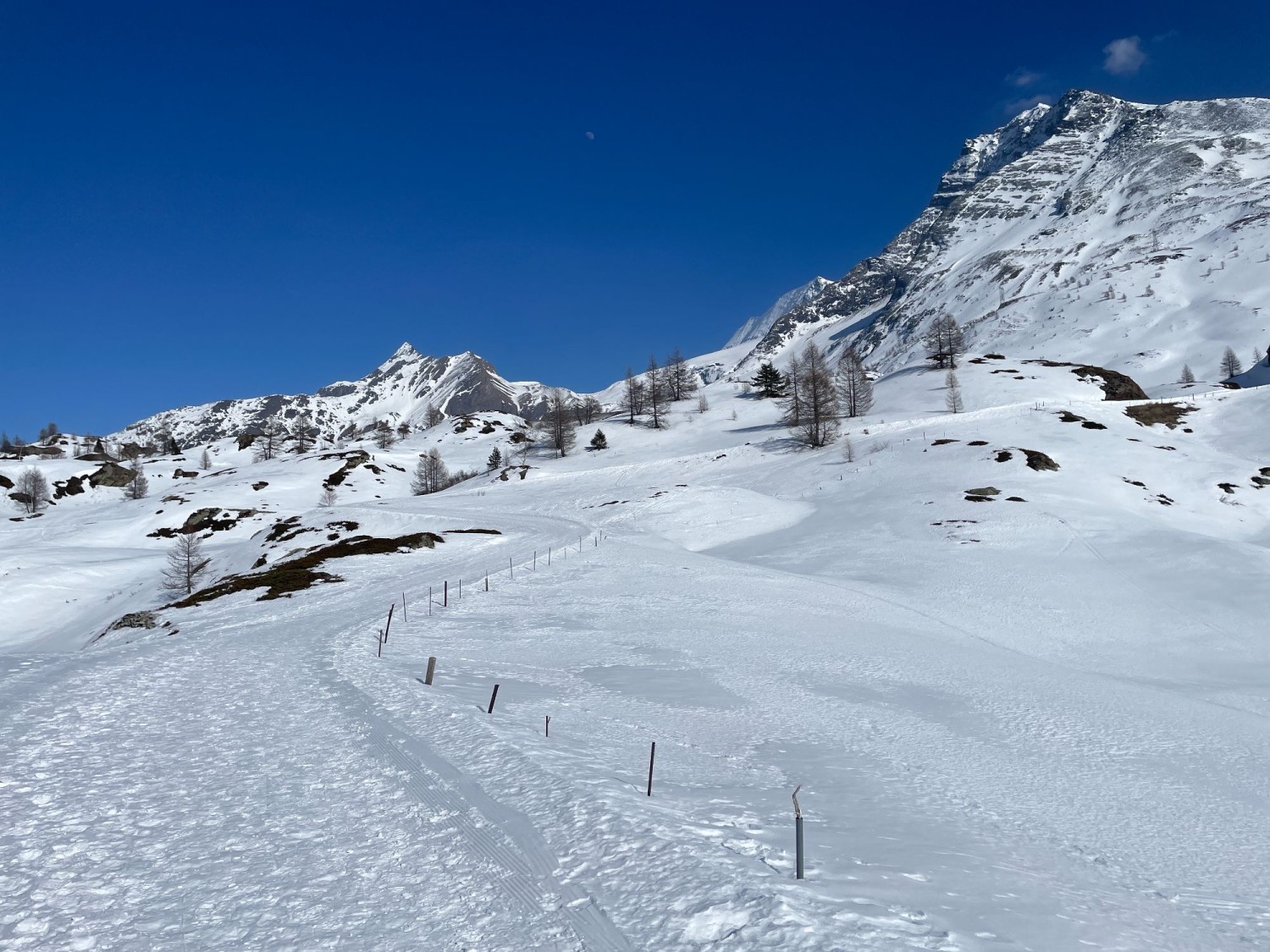 Une agréable descente au début du parcours