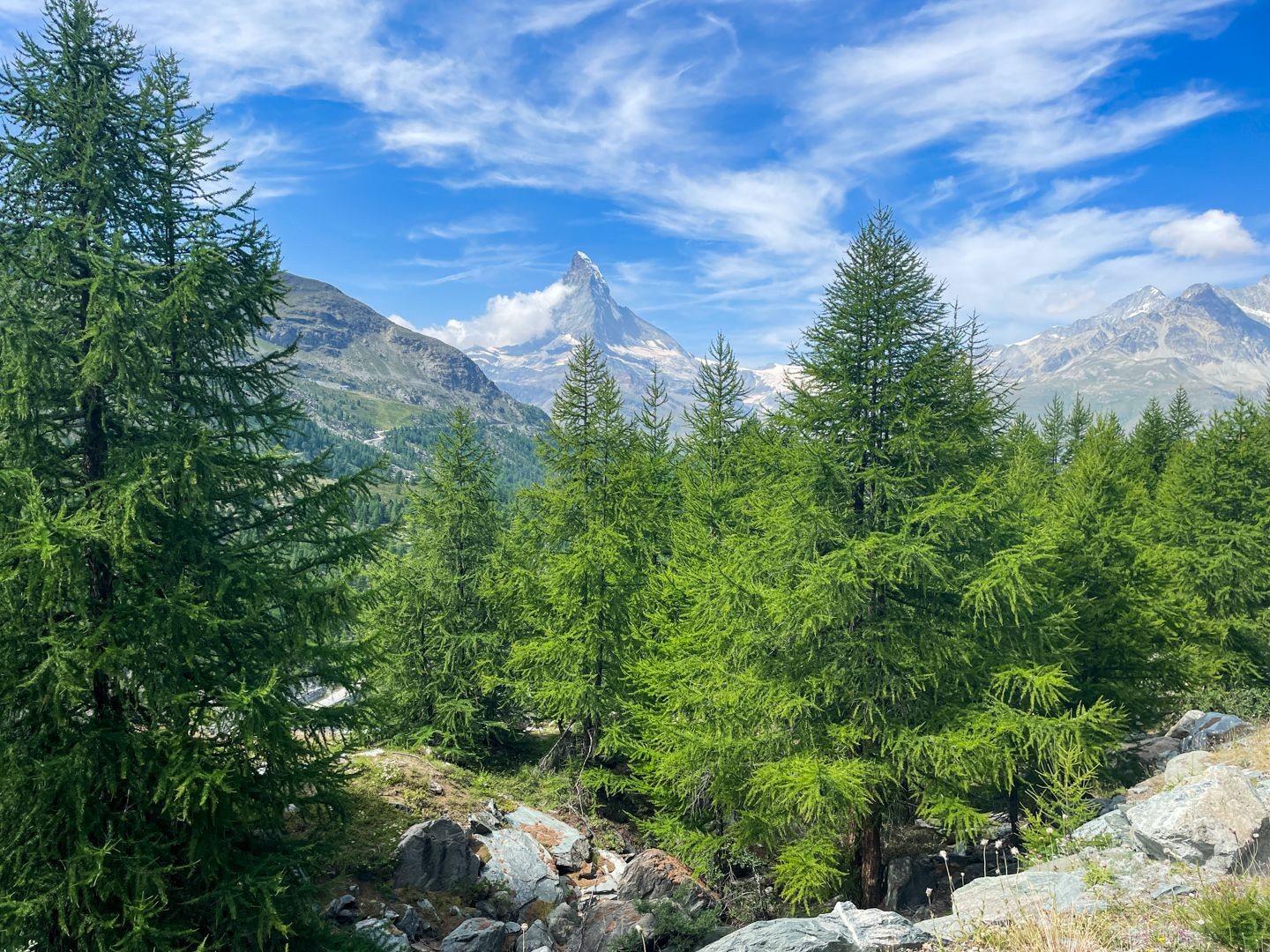 La randonnée se poursuit à travers des forêts de mélèzes clairsemées.