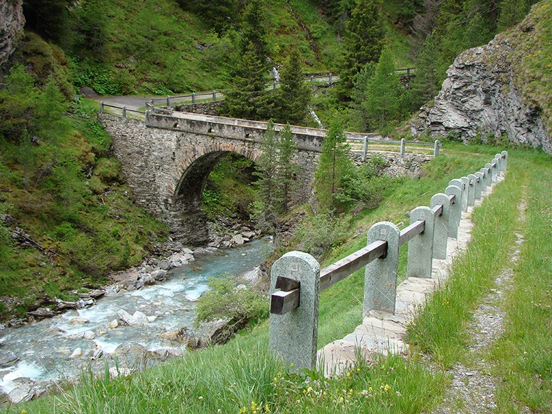 Die Wanderung führt über die Crester Rheinbrücke unterhalb von Cresta.Bild: Evelyne Zaugg