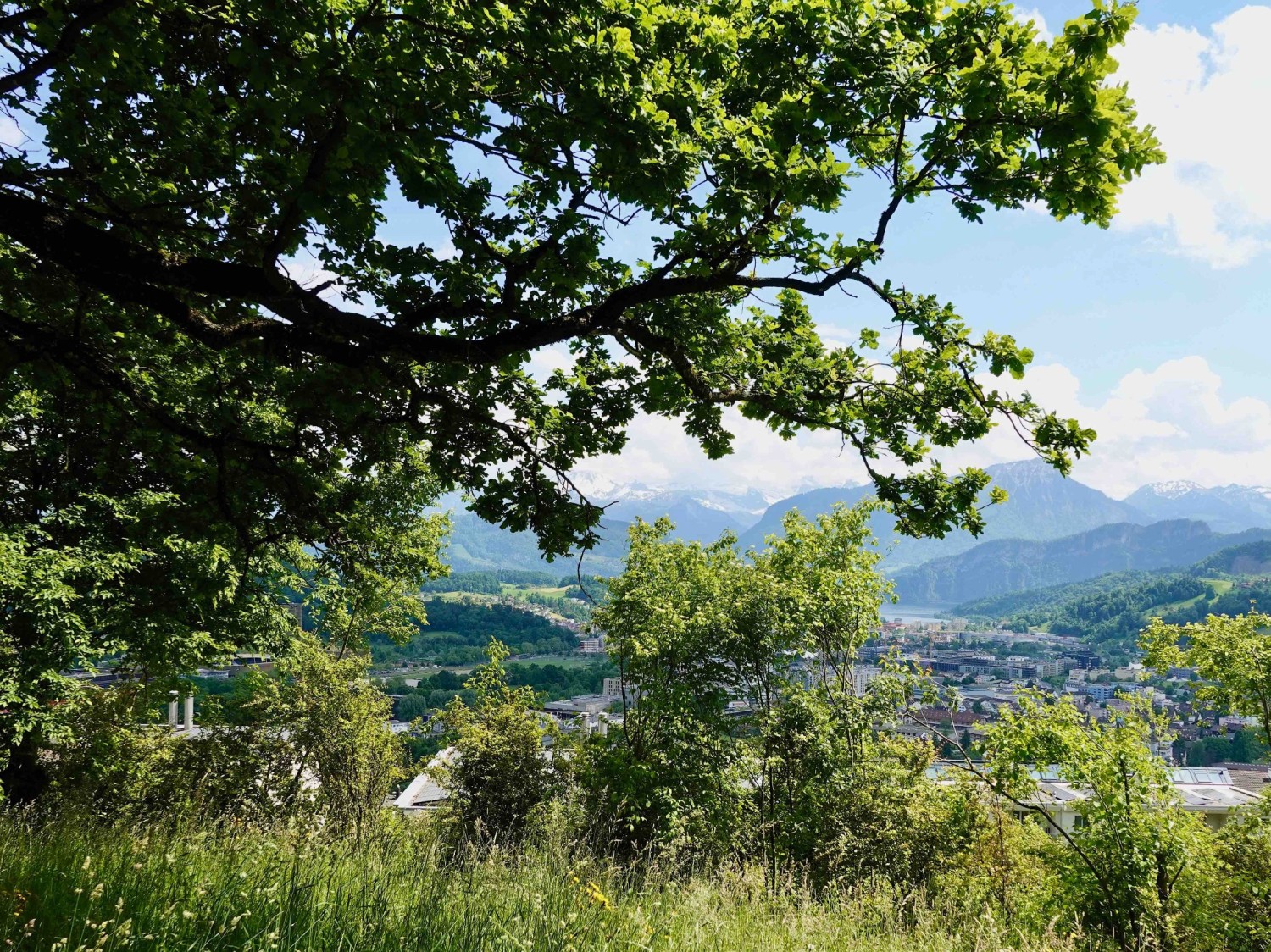 Kraftorte hoch über Luzern: Gütsch und Sonnenberg