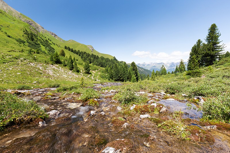 Urtümlicher Selabach, aber nur im Sommer. Im Winter ruht er. Bilder: Daniel Fleuti