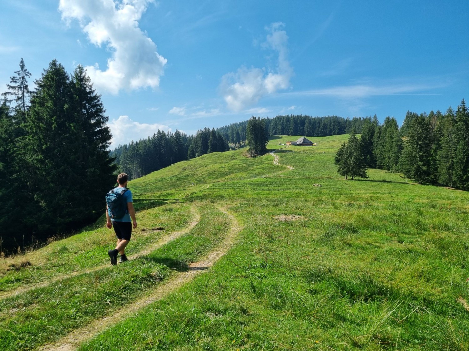 Après la montée abrupte, l’ascension se fait plus douce.