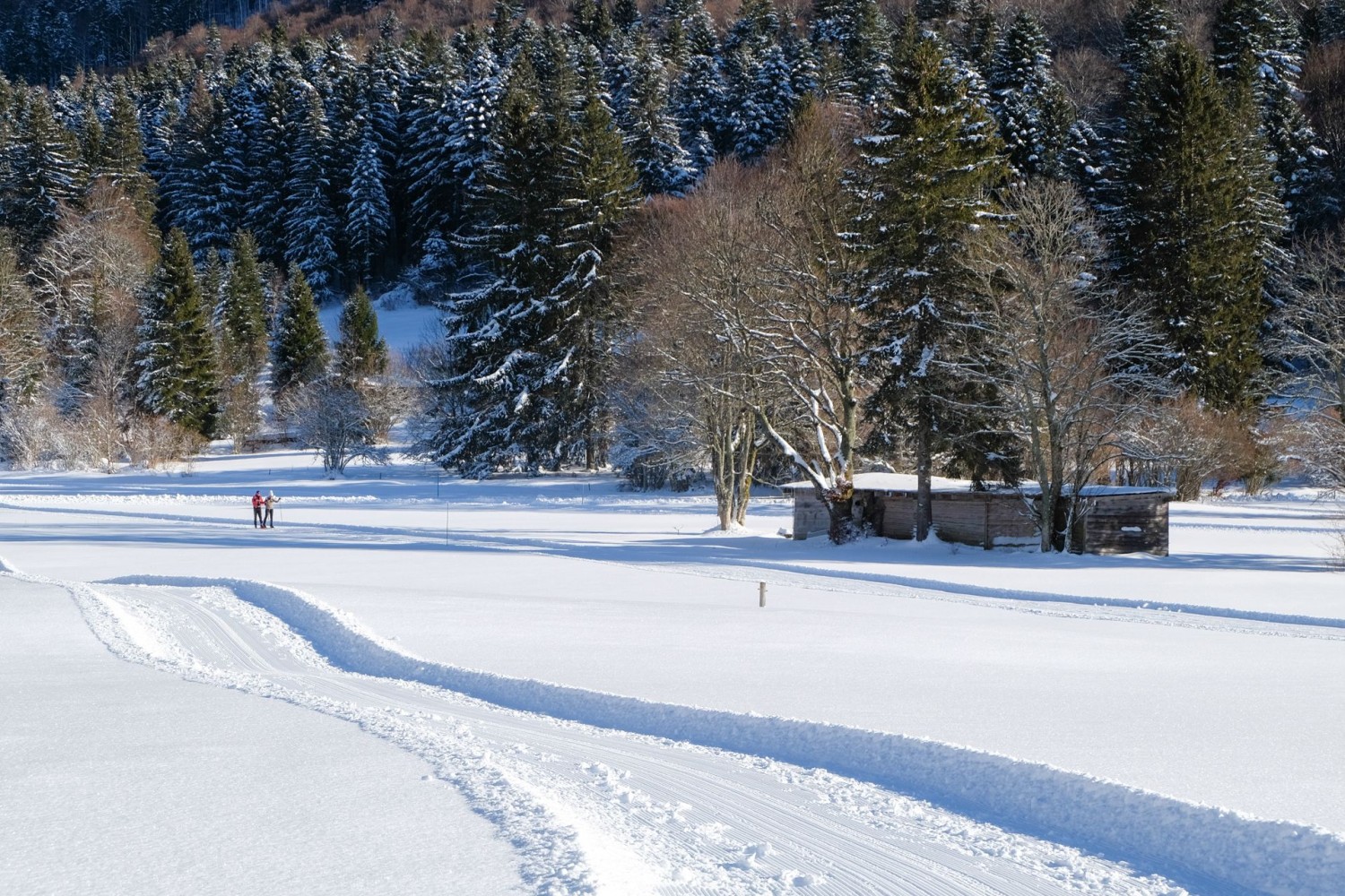 Le ski de fond se pratique aussi aux Prés Vaillons.